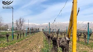 Domaine Wardy