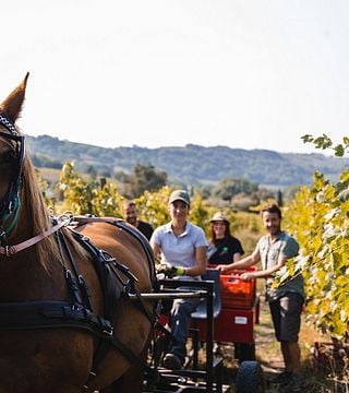 Brunello di Montalcino exclusivo de Florença