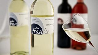 Degustazione di vini e visita alla Weingut Martin Mößlein