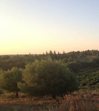 Bodega Y Enoteca Qubél