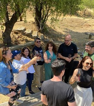 Family Vintage Tasting Tour - Melipilla