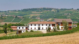 Weinprobe und Ernteerlebnis bei Azienda Agricola Criolin di Claudio Canavero