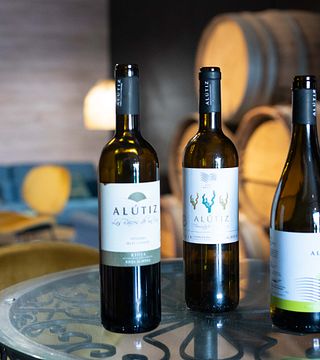 Degustazione di vini nelle Bodegas Alutiz
