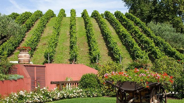 Degustação de vinhos e tour na Tenuta 2Castelli