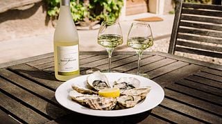 Wine Tasting and Tour at Domaine Saint-Hilaire