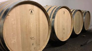 Douro Delights: Wine & Tapas at Quinta do Silval