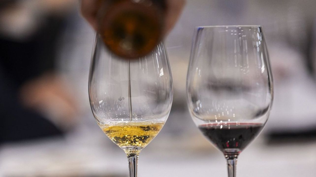 Experiencia de cata de vinos y tapas valencianas