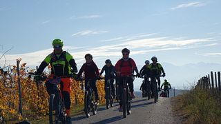 E-cykel & vinturer och vinprovning
