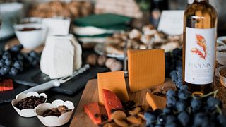 Thracian Valley Wine Journey at Villa Vinifera