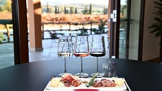 Bolgheri exclusif de Florence : le pays du Super Toscan