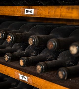 Weinprobe und Führung bei Fattorie Giannozzi SS