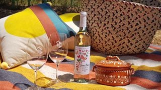 Picnic en el viñedo Herdade Canal Caveira