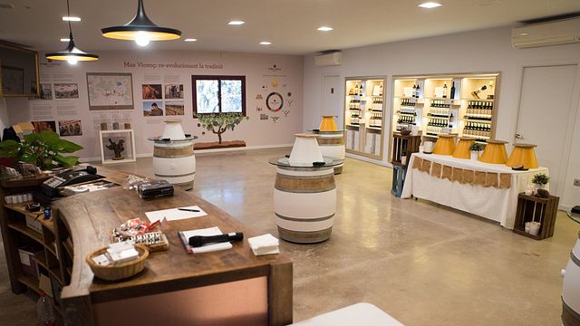 Catalan Wine Journey at Celler Mas Vicenç