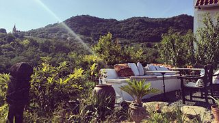 Papwines: Authentic Flavors from Balaton