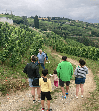 Guided Tour of the Côte Rôtie Hillsides for Parents and Children