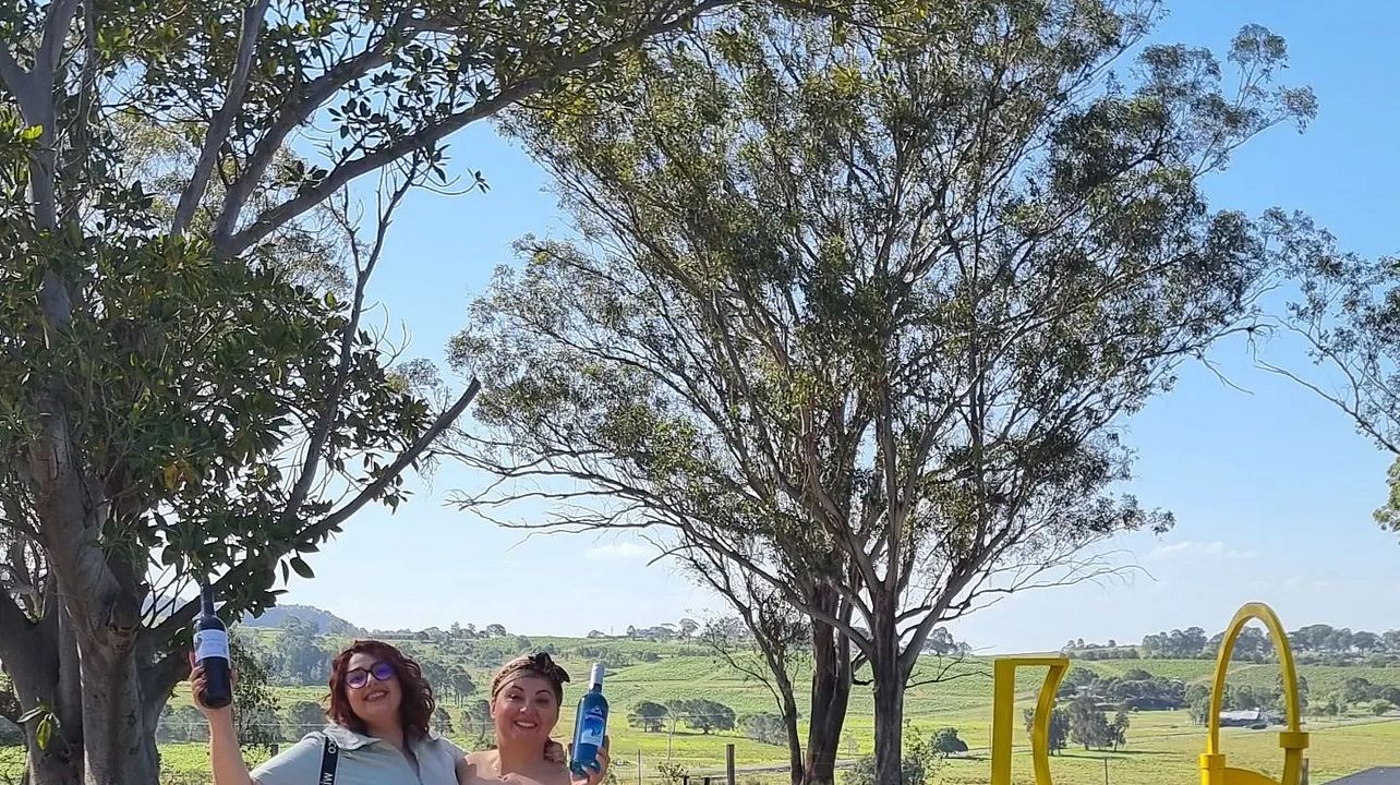 Join a - half day wine tour with lunch inclusive of cost (accessible)