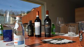 Almuerzo de vino con enólogo en Elena Fucci