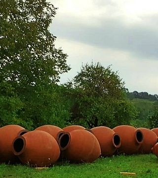 Tour und klassische Weinprobe im Weingut Zodi