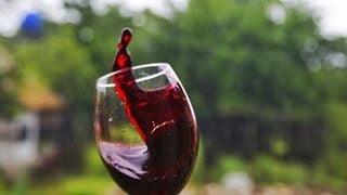 Samegrelo Wine & Qvevri Tasting at Obene