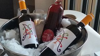 Weinprobe und Tour bei Cellars Capafons Osso SL