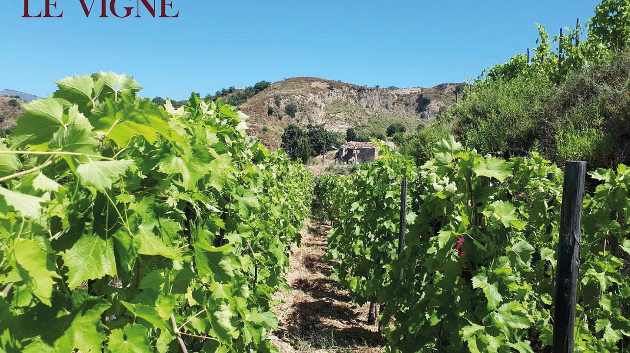 Azienda Vinicola Malaspina