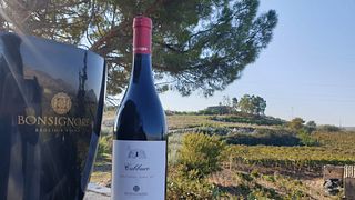 Brunch & Wine Basic en Baglio Bonsignore