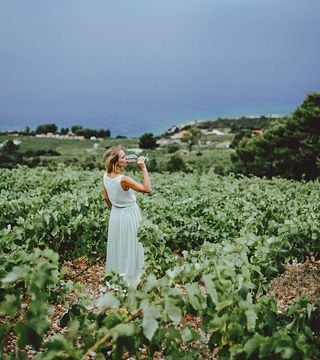 Boutique Winery Vicelić
