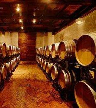 Azienda Agricola Montevetrano