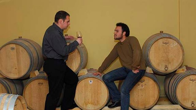 Degustazione di vini e tour presso la tenuta Vourvoukeli