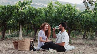 Picnic nel vigneto di DAF Wines vicino a Heraklion, Creta