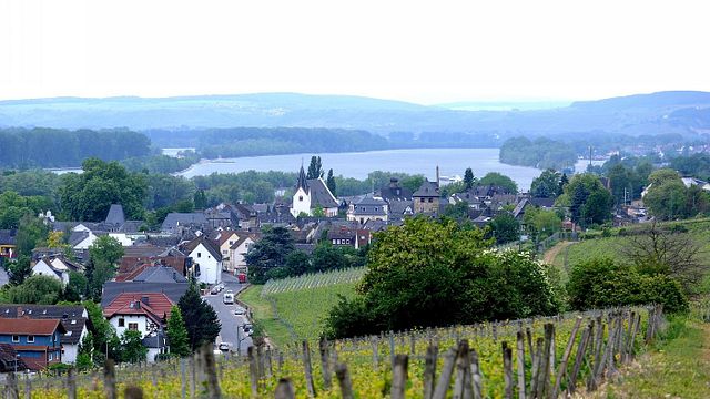 Weingut Kaufmann