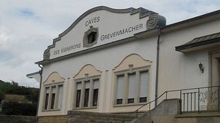 Degustação de Amantes de Vinho | Cavernas de Grevenmacher