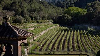 Experiencia Tramontana - Bodega Son Vich De Superna