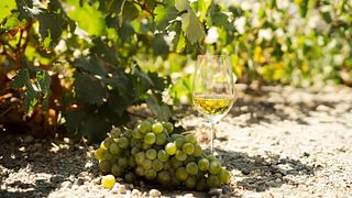 Privat vintur