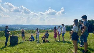 Cata de vinos en el viñedo de Wieliczka