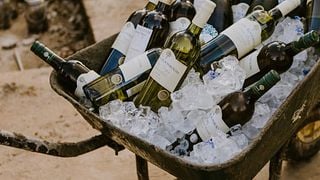 Unique Wine Tasting at Klein Roosboom Winery