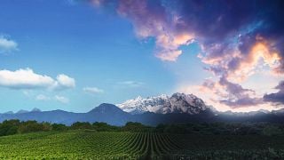 Pique-nique dans les vignobles du Piémont