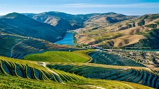 Favaios y tour de cata de vinos