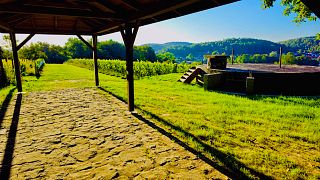 Tyniec Vineyard - Zurück in die Vergangenheit