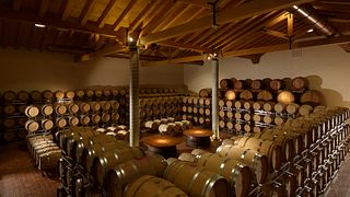 Tour Hemingwine Gourmet på De Stefani Winery