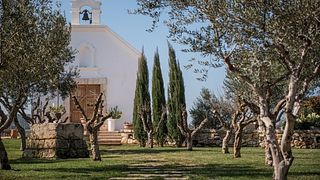 Vinprovning och rundtur på Terre di San Vito