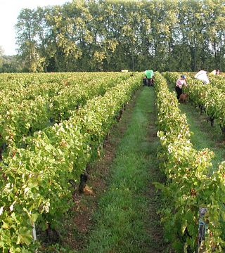 Da mezza giornata a una giornata intera a Château Bardins