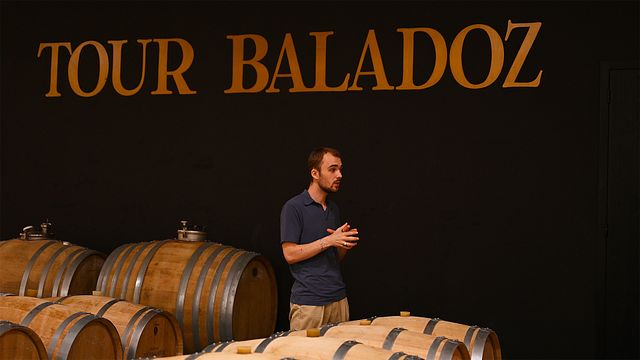 Château La Croizille, St Emilion Grand Cru Classé:visita e degustazione