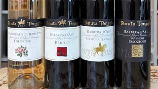 Barbera dans toutes ses expressions