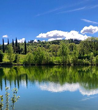 Degustación de vinos y visita guiada al Tenute San Fabiano - Conti Borghini Baldovinetti De' Bacci