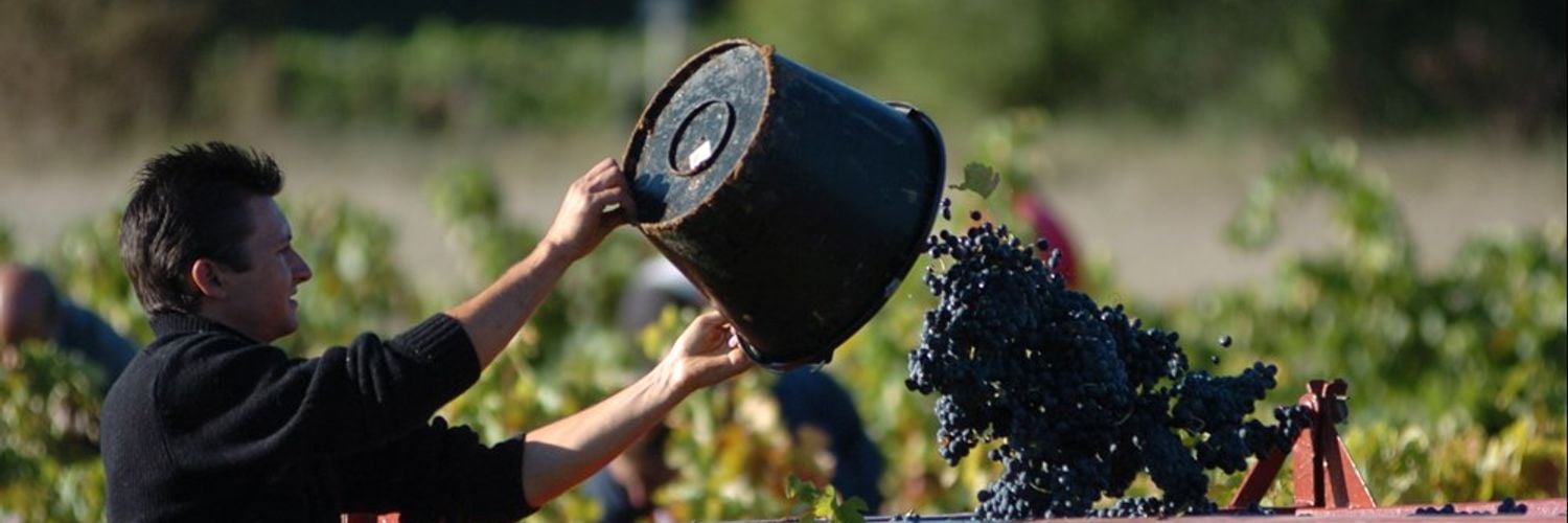 Chateau Vignelaure 6 Wt2025