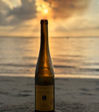 Weinprobe und Führung im Domaine Albert Seltz