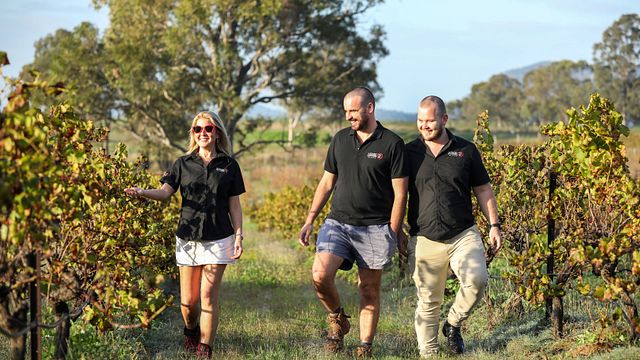 Latitude 32 Wines
