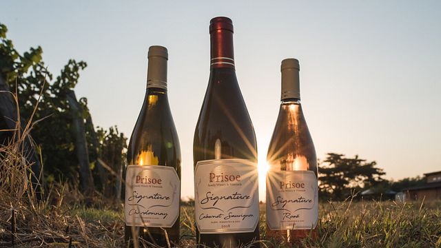 Visita y cata de vinos en la Bodega Prisoe