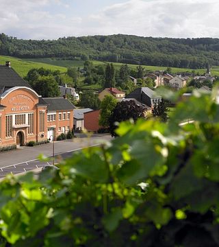 Luxury Moselle Valley Wine Tasting at Caves de Wellenstein